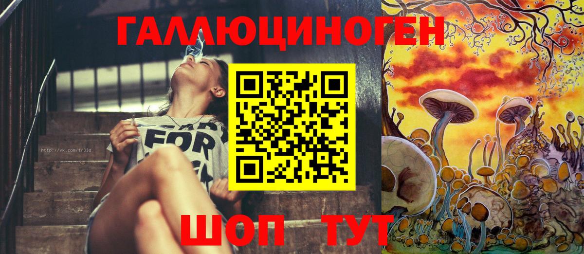 Псилоцибиновые грибы Cubensis Киселёвск