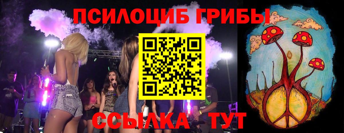 Киселёвск  сколько стоит  Галлюциногенные грибы MAGIC MUSHROOMS  Вход с VPN  Галлюциногенные грибы Psilocybe 