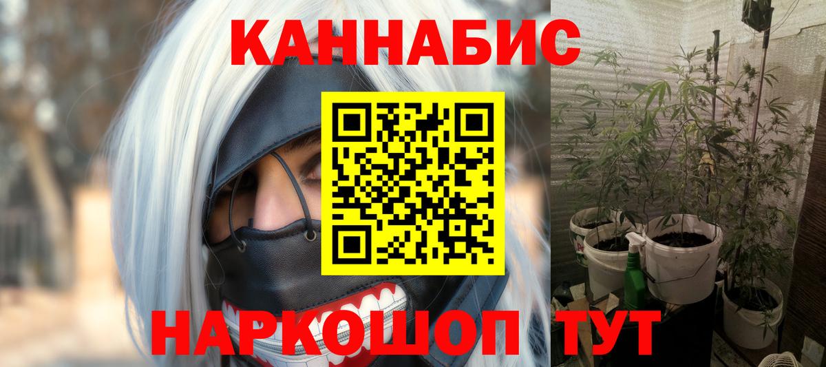 Каннабис тримм  Вход с VPN  Бошки марихуана MAZAR  Киселёвск  Конопля VHQ 